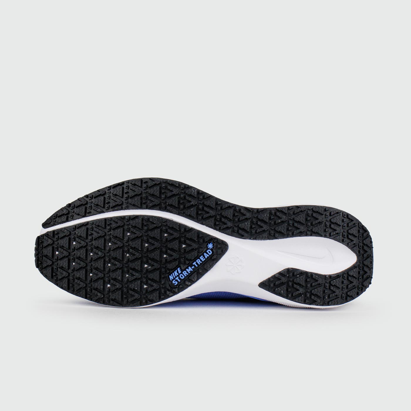 Кроссовки Nike Pegasus 41 Gtx Cobalt