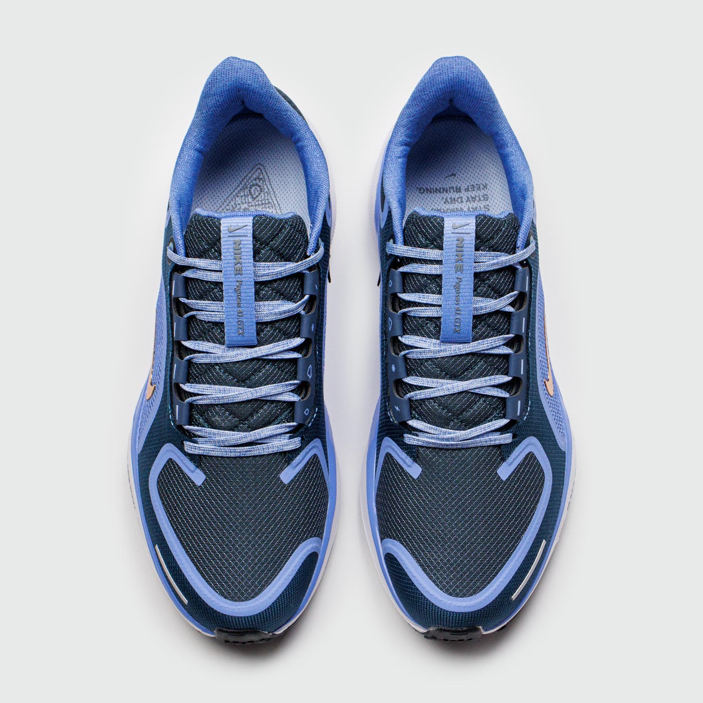 Кроссовки Nike Pegasus 41 Gtx Cobalt